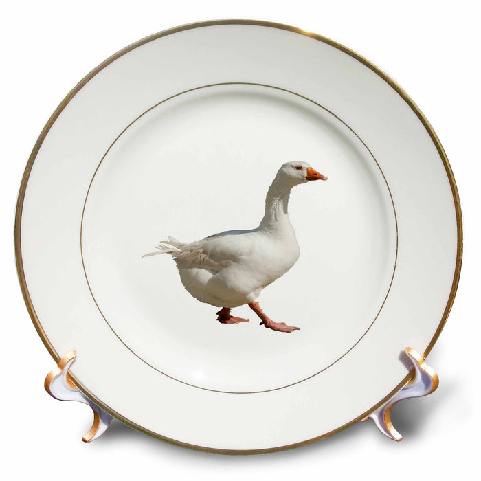 image of 8 inch Porcelain Plate