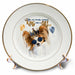 image of 8 inch Porcelain Plate