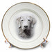 image of 8 inch Porcelain Plate