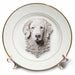 image of 8 inch Porcelain Plate