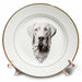 image of 8 inch Porcelain Plate