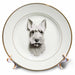 image of 8 inch Porcelain Plate