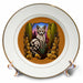 image of 8 inch Porcelain Plate