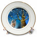 image of 8 inch Porcelain Plate