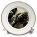 image of 8 inch Porcelain Plate