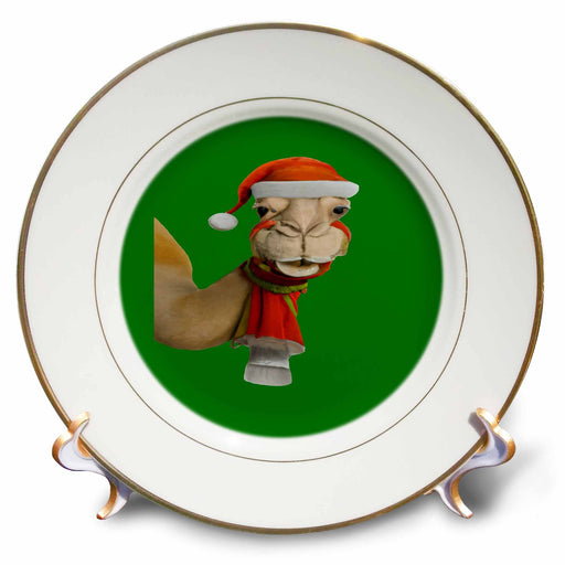 image of 8 inch Porcelain Plate