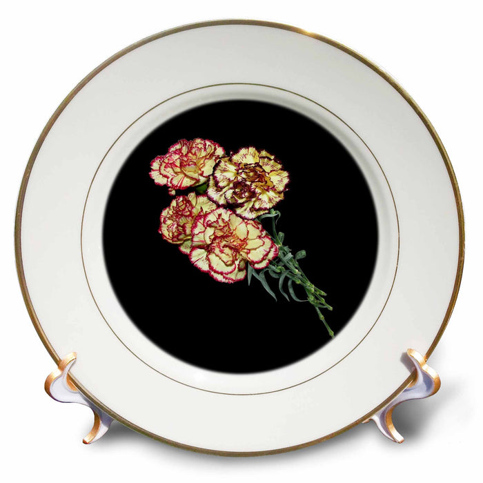 image of 8 inch Porcelain Plate