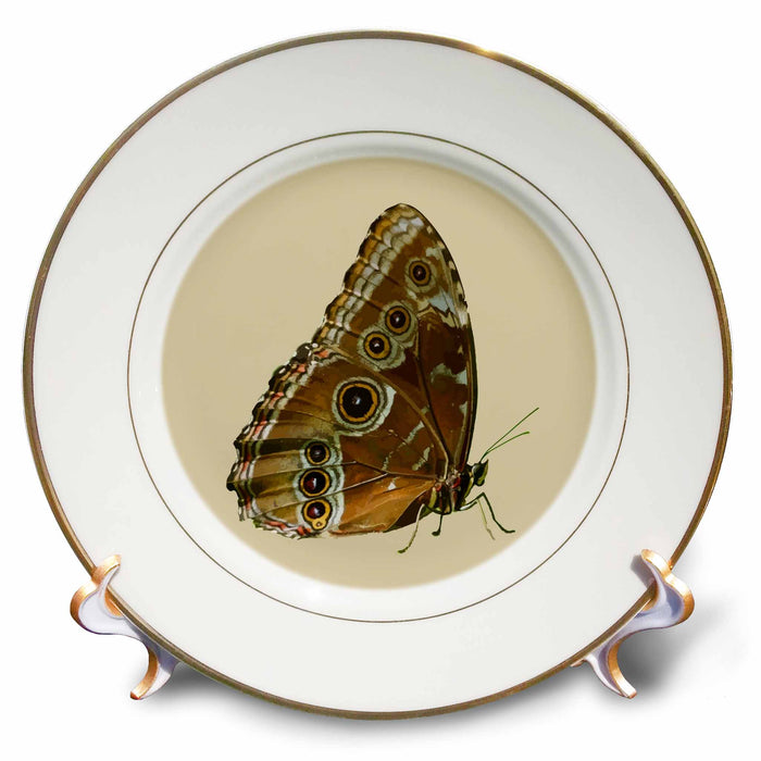 image of 8 inch Porcelain Plate