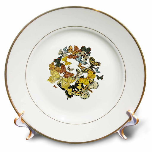 image of 8 inch Porcelain Plate