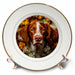 image of 8 inch Porcelain Plate