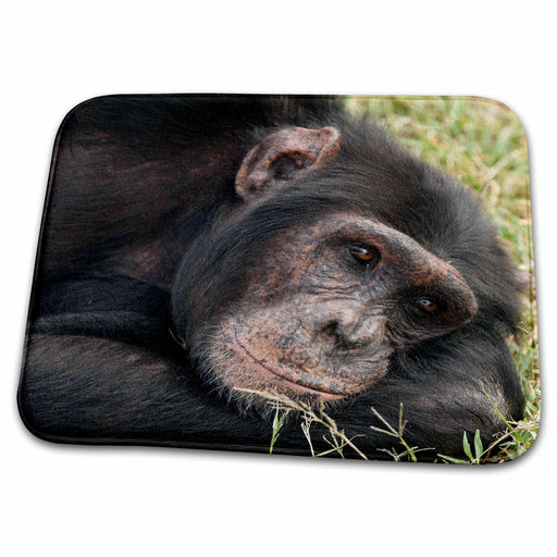 image of Dish Drying Mat