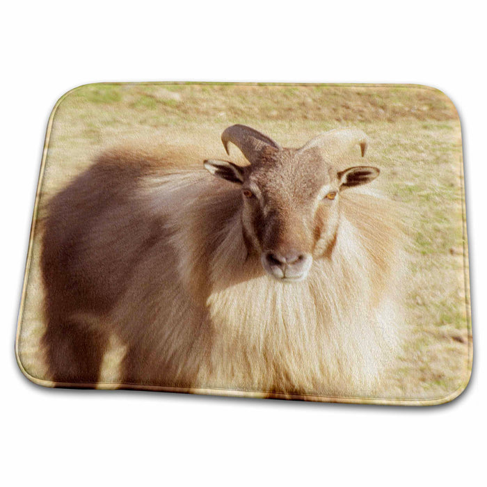 Dish Drying Mat - Himalayan Mountain Goat animals