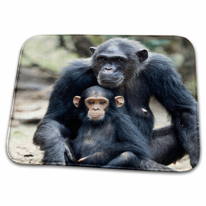 Dish Drying Mat - Tanzania, Gombe Stream NP, Mother chimp and infant sitting. Primates