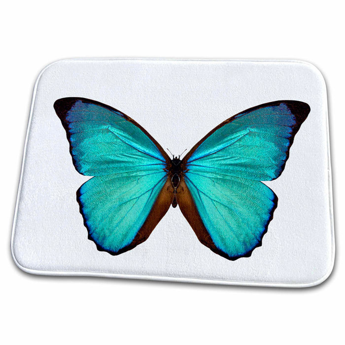 Dish Drying Mat - Shimmering Light Blue and Brown Butterfly Photograph Butterflies