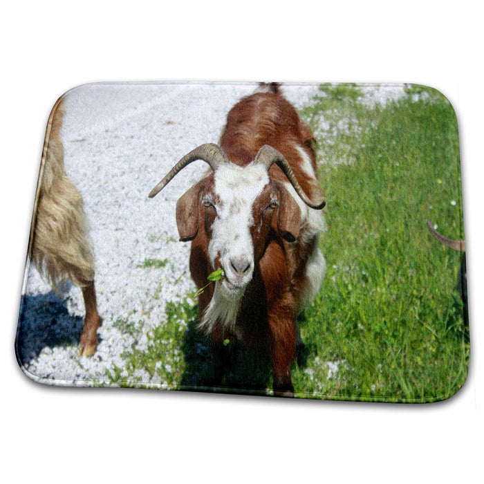 Dish Drying Mat - Whimsical Portrait of a Horned Goat Grazing Photography - Goats