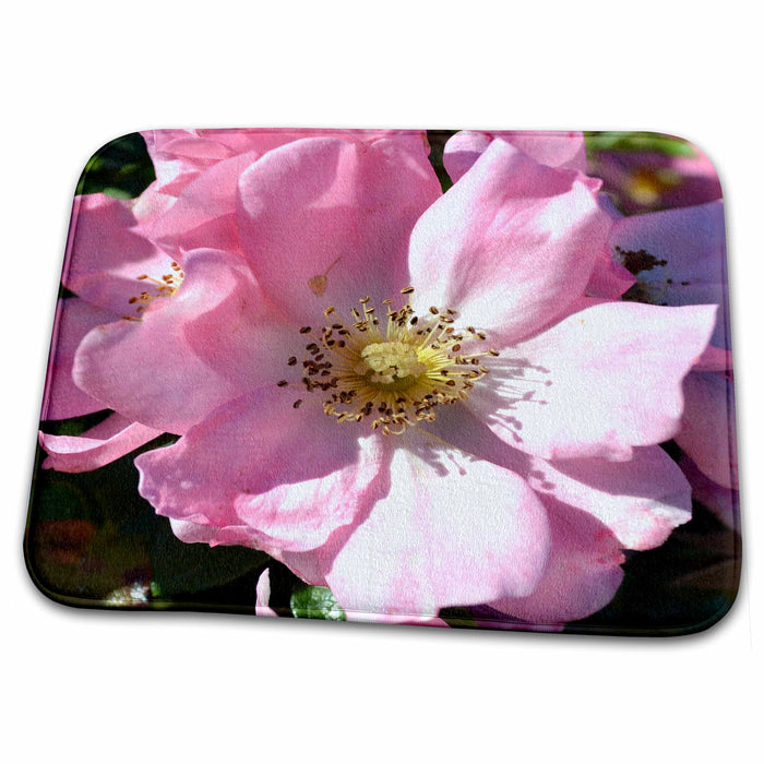 Dish Drying Mat - Autumn Rose Macro- Pink Flowers- Photography Sanders Flowers