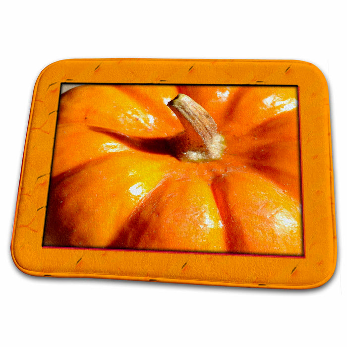 Dish Drying Mat - Orange Framed Pumpkin- Autumn Photography- Vegetables Sanders Photography