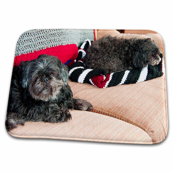 Dish Drying Mat - Shiatsu Lhasas Doggie and Shiatsu Pug Doggie The Family Pets Just Chilling on The Couch Realistic