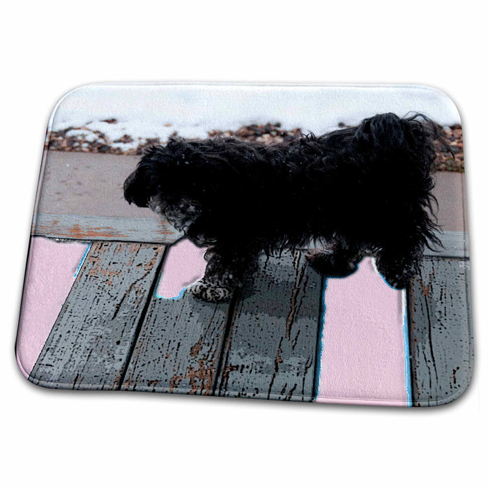 Dish Drying Mat - Adorable Shiatsu Lhasas Dog Walking Around on Porch Outside and Looking Back with Rectangles of Pink Realistic