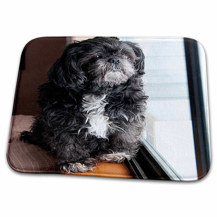 Dish Drying Mat - Beautiful Furry Black and White Lhasas Shiatsu Pet Dog on Top of Couch Looking out The Window Realistic