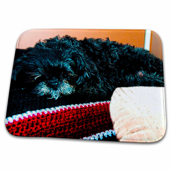 Dish Drying Mat - Shiatsu Lhasas Doggie Curled up on Blanket Done in Vibrant Posturized Finish Realistic