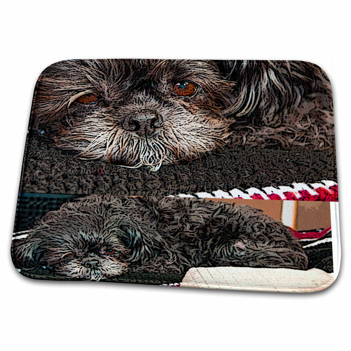 Dish Drying Mat - Shiatsu Lhasas Doggie Curled up on Blanket Twice on Page Close Up and Full View Realistic