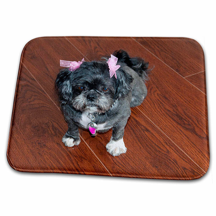 Dish Drying Mat - Cute Shiatsu Lhasas Pet Doggie with Pink Bows After Just Having Been Groomed on hard Wood Floors Realistic