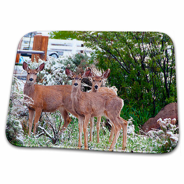 Dish Drying Mat - Three Deer In Yard On Snowy Day With Green Bushes and Fence in Back Realistic