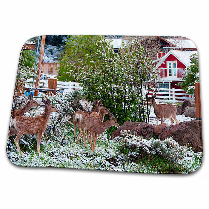 Dish Drying Mat - Five Deer In Yard Made Vibrant With Red Cabin in Back on Frosty Day Realistic