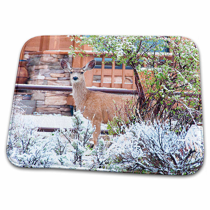 Dish Drying Mat - Deer In Yard Peeking Around Some Bushes with Cabin Behind it Realistic