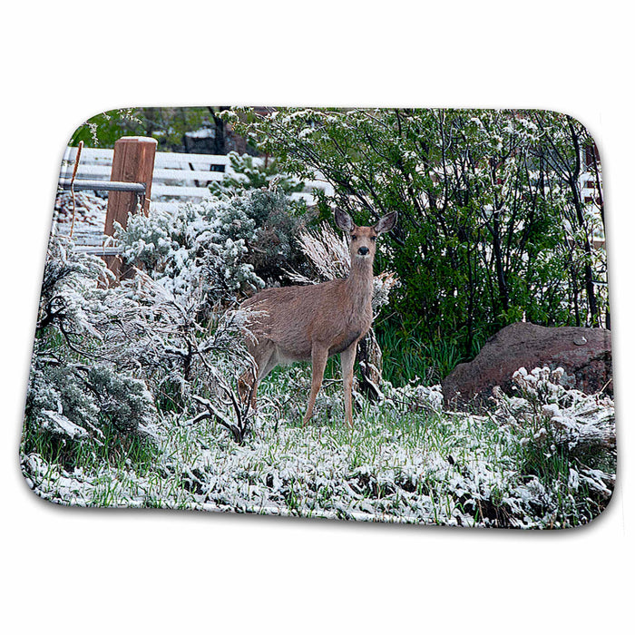 Dish Drying Mat - Deer In Yard Peeking Around Some Bushes with Fence in Back and Little Snow on Ground Realistic