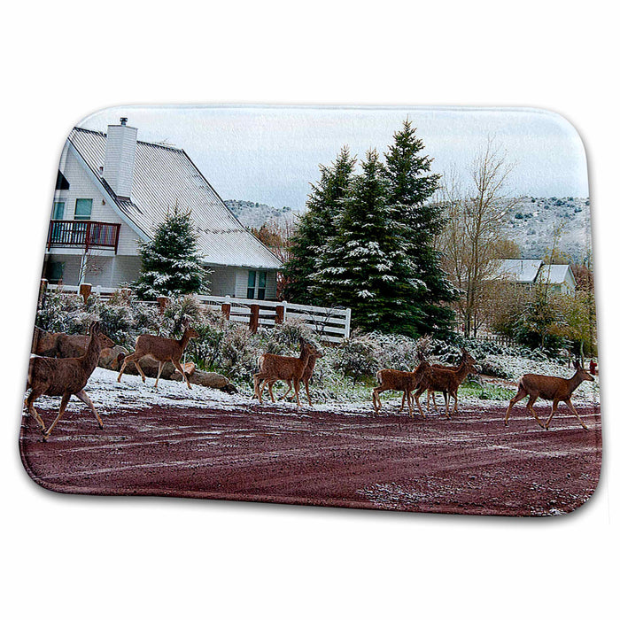 Dish Drying Mat - Eight Deer Crossing Road In Pine Valley, Utah Near Some Cabins Realistic