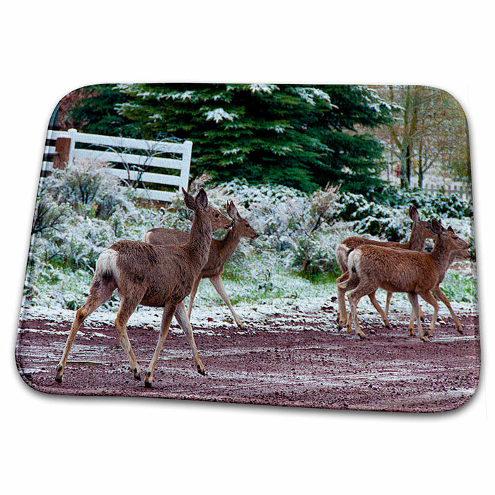 Dish Drying Mat - Close up of Five Deer Crossing Road in Pine Valley, Utah With Cabin Behind Realistic