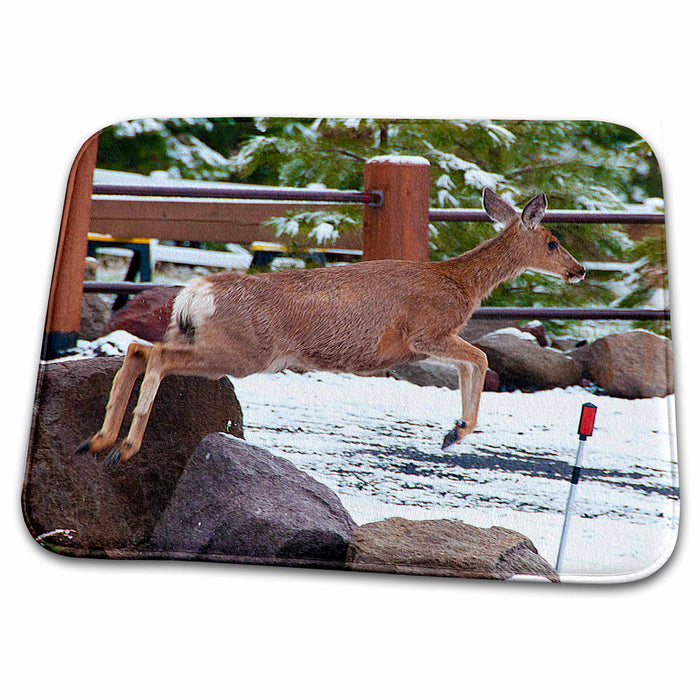 Dish Drying Mat - Deer jumping Over Big Rock in Yard in Pine Valley, Utah with Light Dusting of Snow on Ground Realistic