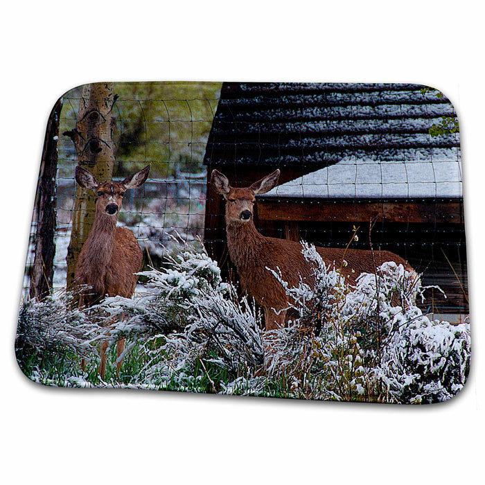 Dish Drying Mat - Two Deer Looking On Surrounded by Fence and Some Shrubbery With Light Dusting of Snow in Pine Valley Realistic