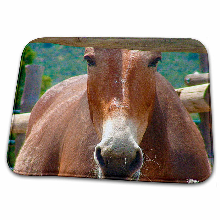 Dish Drying Mat - Beautiful Tand White Horse up Close Behind Fence in Pine Valley, Utah with Green Hills Behind Realistic