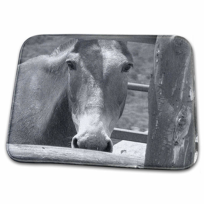 Dish Drying Mat - Beautiful Close Up of Horse Behind Wooden Fence in Pine Valley, Utah done in Black and White Realistic