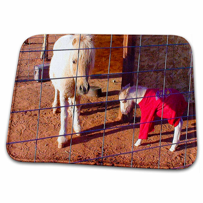 Dish Drying Mat - Miniature Shetland Pony and Its Brand New Baby in Red Sweatshirt in Ivins, Utah Realistic