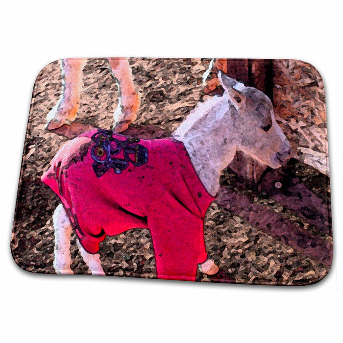 Dish Drying Mat - Newborn Miniature Shetland Pony Baby In Red Sweatshirt to Keep Warm and Learning to Stand in Ivins Realistic