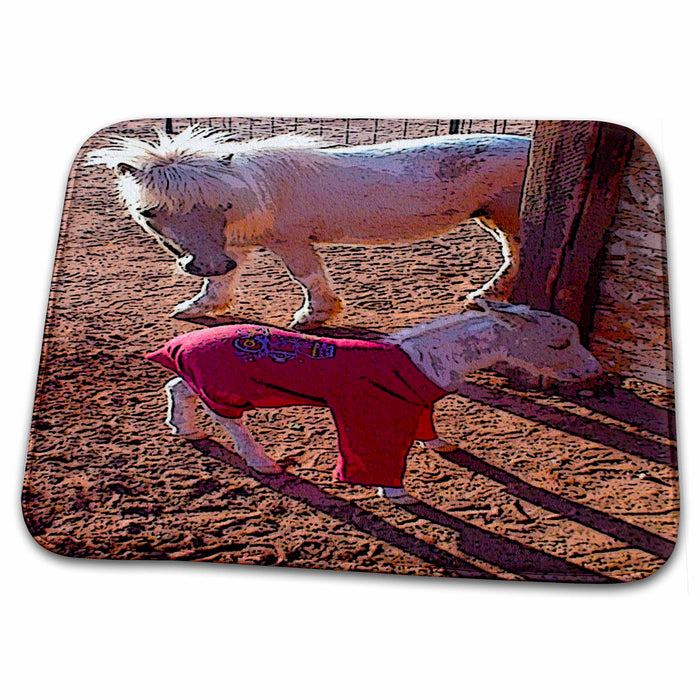 Dish Drying Mat - Mamand Newborn Baby Miniature Shetland Ponies in Ivins, Utah Realistic