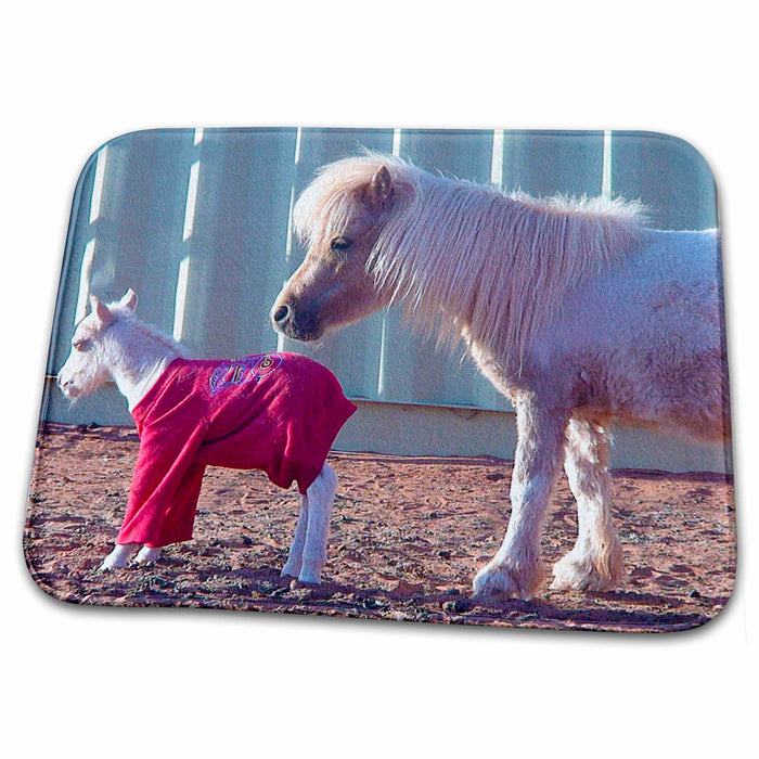 Dish Drying Mat - Mamand Newborn Baby Miniature Shetland Ponies Standing By Each Other in Ivins, Utah With Baby Realistic