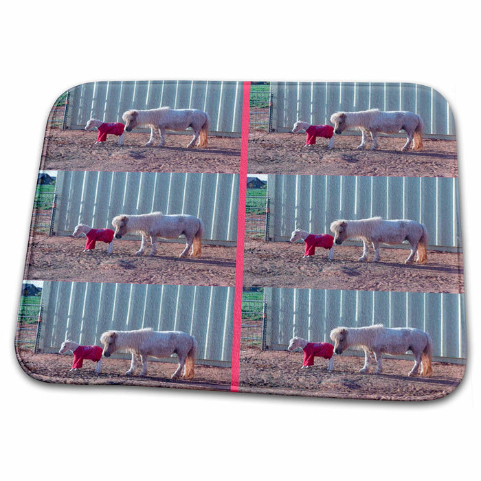 Dish Drying Mat - Mamand Newborn Baby Miniature Shetland Ponies in Ivins, Utah Made into Pattern with Six on Page Realistic