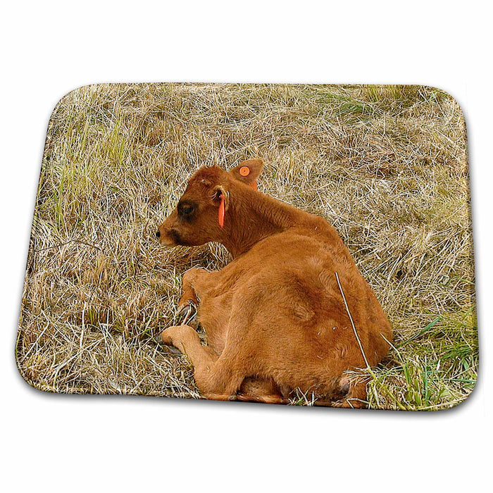 Dish Drying Mat - Brown Calf in Provo, Utah at Medallion Manor Group Home Realistic