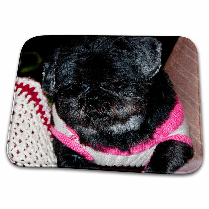 Dish Drying Mat - Adorable Shiatsu Pug Pet Dog in Vibrant Pink and Green Sweater With Cute Hair Cut Close Up Realistic