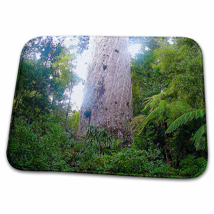 Dish Drying Mat - The Oldest Kauri Tree in New Zealand Tane Mahut2000 Years Ago Approximately During Life of Christ Realistic