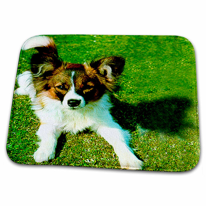 Dish Drying Mat - Papillon Dogs Papillon