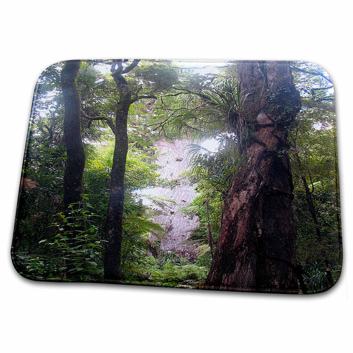 Dish Drying Mat - The Oldest Kauri Tree in New Zealand Tane Mahut 2000 Years Ago Approximately is When it Sprang Realistic