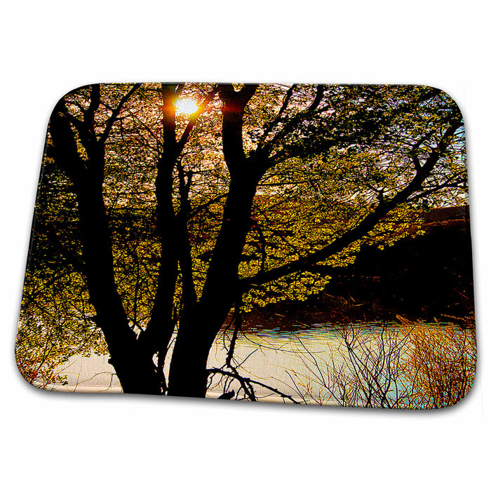 Dish Drying Mat - The Suns Reflection In Evening as it is Setting at Baker Dam Behind Trees Reflecting on Water Realistic