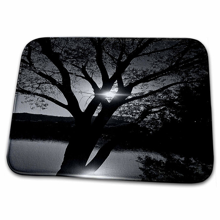 Dish Drying Mat - Black and White of Tree Reflecting on Baker Dam Reservoir in Southern Utah With Sun Behind Realistic