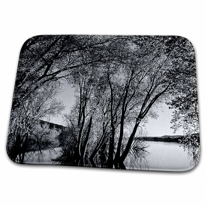 Dish Drying Mat - Black and White of Trees and Bushes Reflecting on Water at Baker Dam Reservoir in Southern Utah Realistic